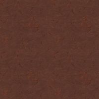 ttCARA-CD4821 BROWN